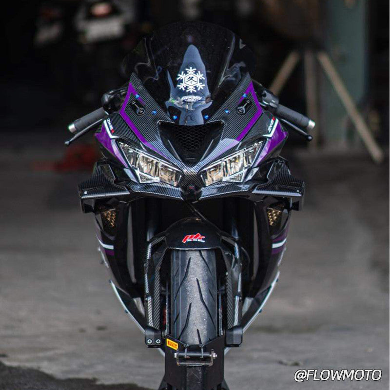 For Kawasaki Ninja ZX-6R Pure Carbon Winglet