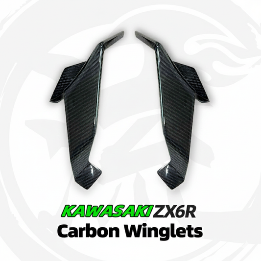 For Kawasaki Ninja ZX-6R Pure Carbon Winglet